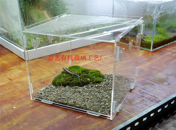 亞克力飼養箱